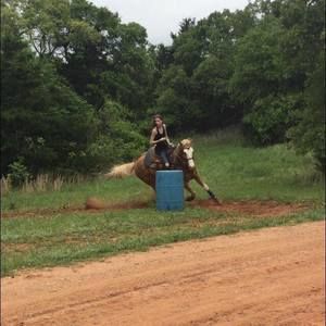 Meet your Posher, Jordan